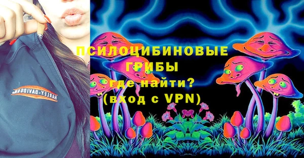 спиды Нефтекумск