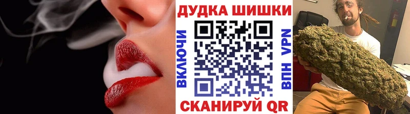 купить наркоту  Берёзовка  Бошки марихуана SATIVA & INDICA 